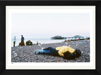 Brighton 5.48AM limited edition